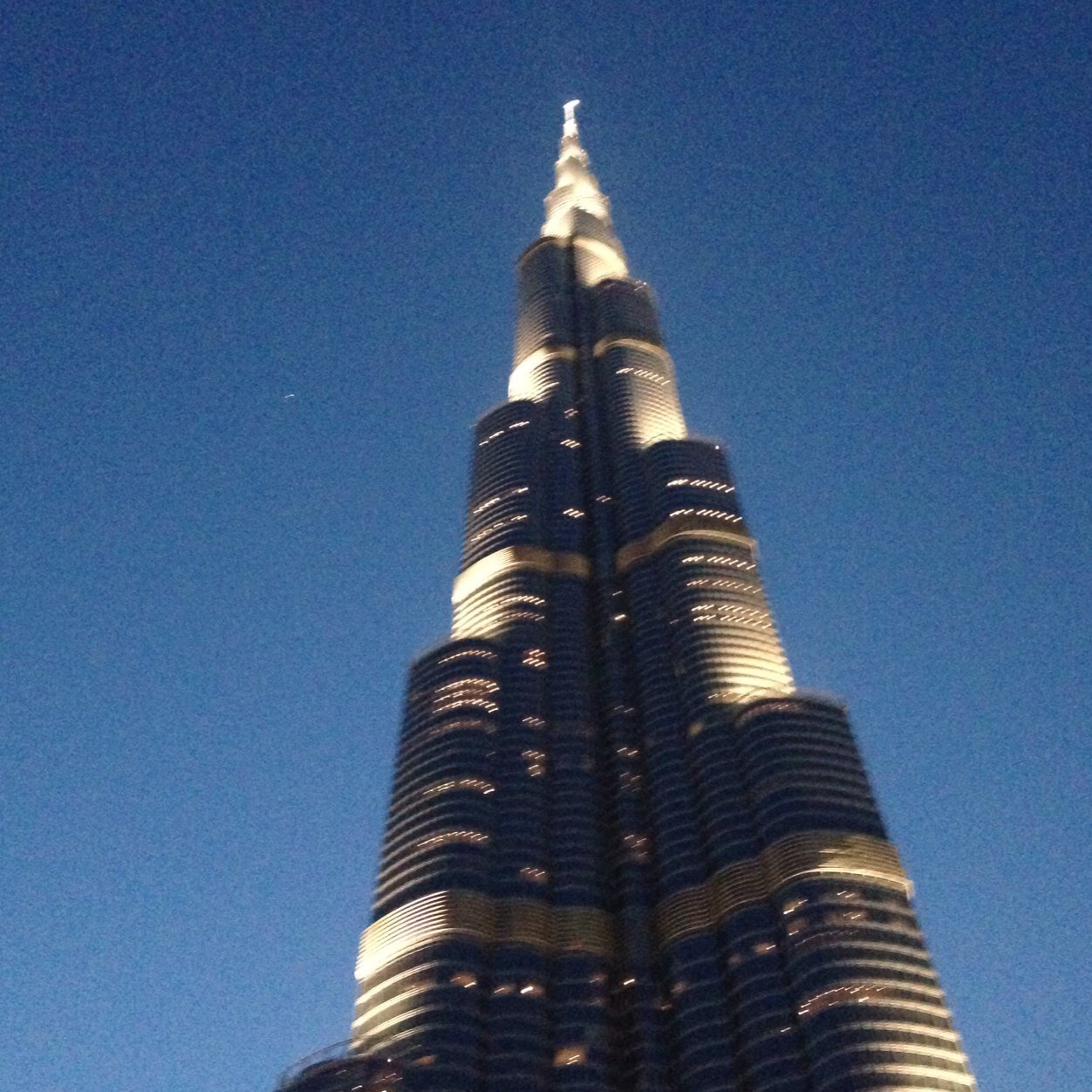 mattelderflower's profile picture. 