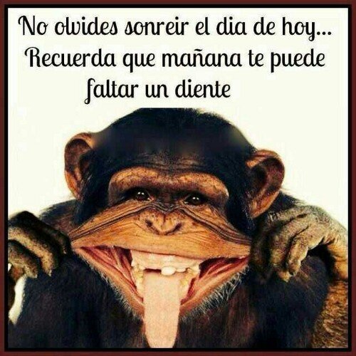 juanmaherreros's profile picture. Always SMILE :)