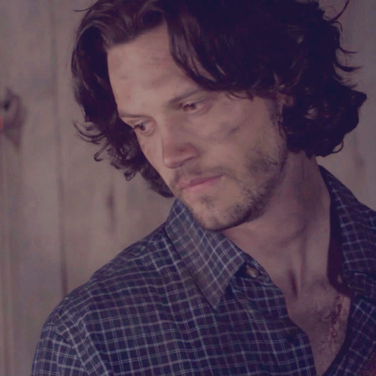 My bloodline goes back to the very beginning. As alpha, we WILL take back our town, get our revenge, and hopefully I will have my betrothed by my side RP/TO/AU
