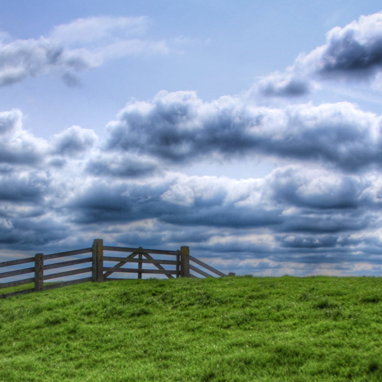 waaiewind's profile picture. PHOTOxPHOTO