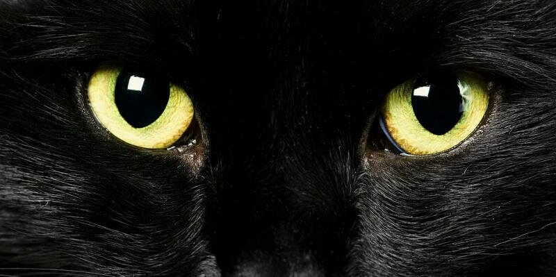 celotehmhsiswa_'s profile picture. Ada keluhan tentang nilai, dosen & ketidakadilan di kampus? Share kesini. Sedikit bicara, banyak menulis. Beceloteh seputar kampus FISIP UNPAS tercinta.