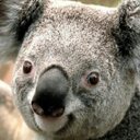 Emily Holley - @moodymac2006 - Twitter