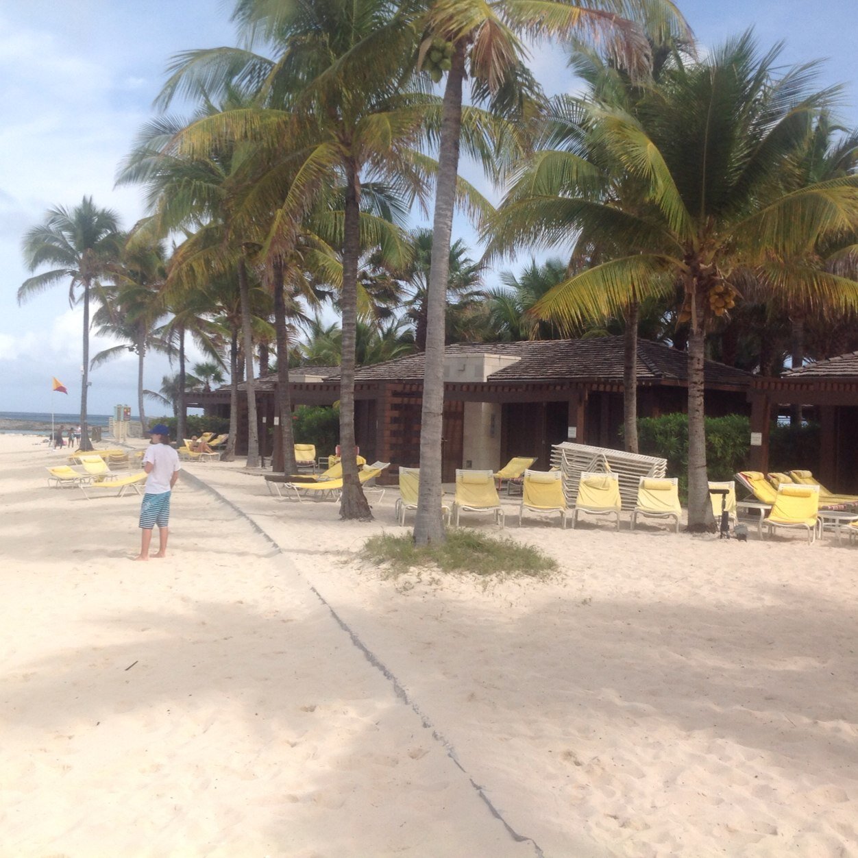 MichaelBettiol1's profile picture. Christian. Entrepreneur. Philanthropist. Patriot.