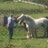 CindyMeddick's profile image