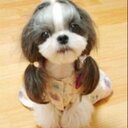 patty solano - @rubilapatricia - Twitter