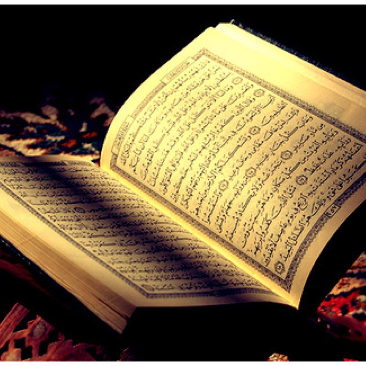 هذا الحساب هو حساب تابع لحساب @khatmat_quran1 فمن يحب المشاركة بالختميات نتمنى متابعة ذاك الحساب