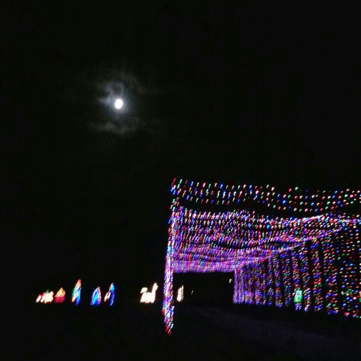 Space Coast Lightfest @ Wickham Park Holiday Festival in Melbourne, Florida