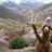 MachuPicchu7m's profile image