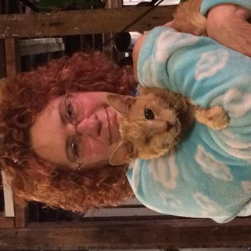 gwendalefloyd's profile picture. cat lady, loves art and music