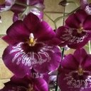 edith - @edith_guy - Twitter