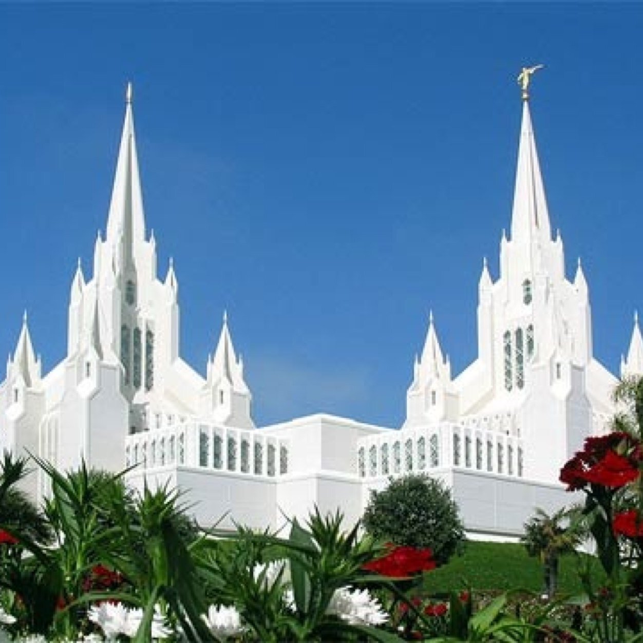 Mormon guy just living life
