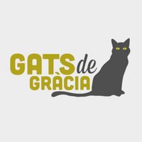 GATS DE GRÀCIA(@GatsdeGracia) 's Twitter Profile Photo