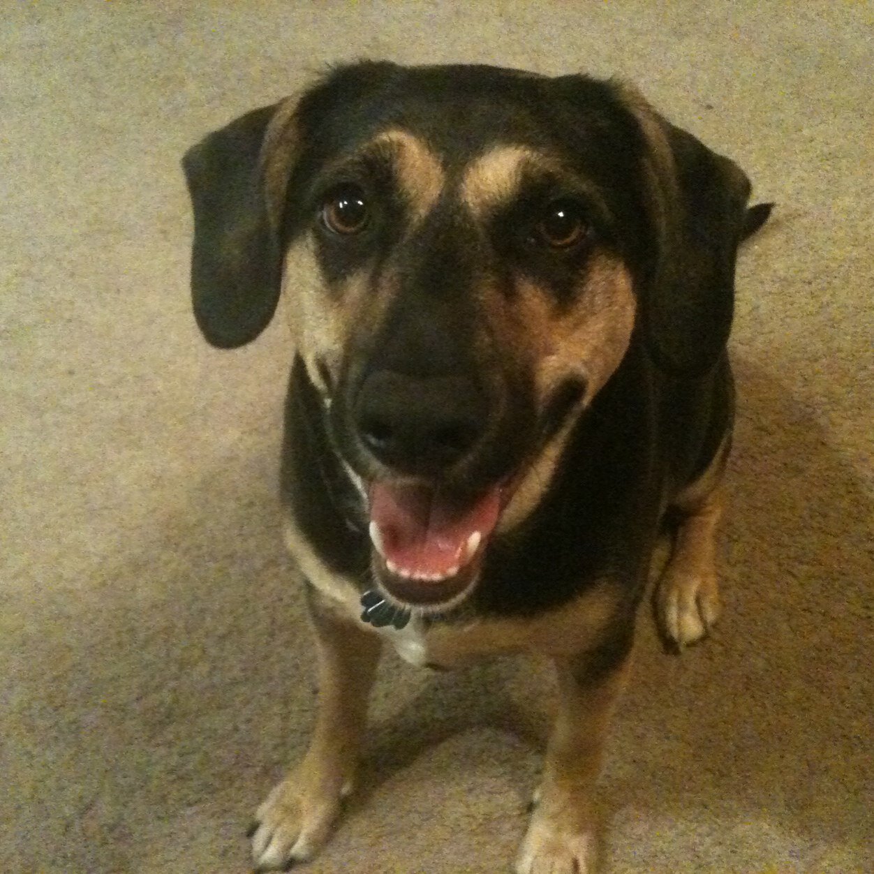 K_Roll_K's profile picture. 