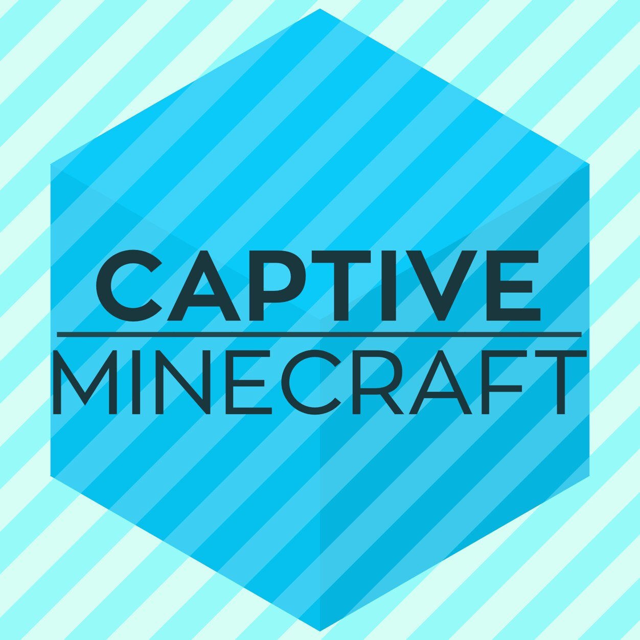Welcome to a new, action packed, exiting, survival minecraft mini-game brought to you be @TheFarlanders!