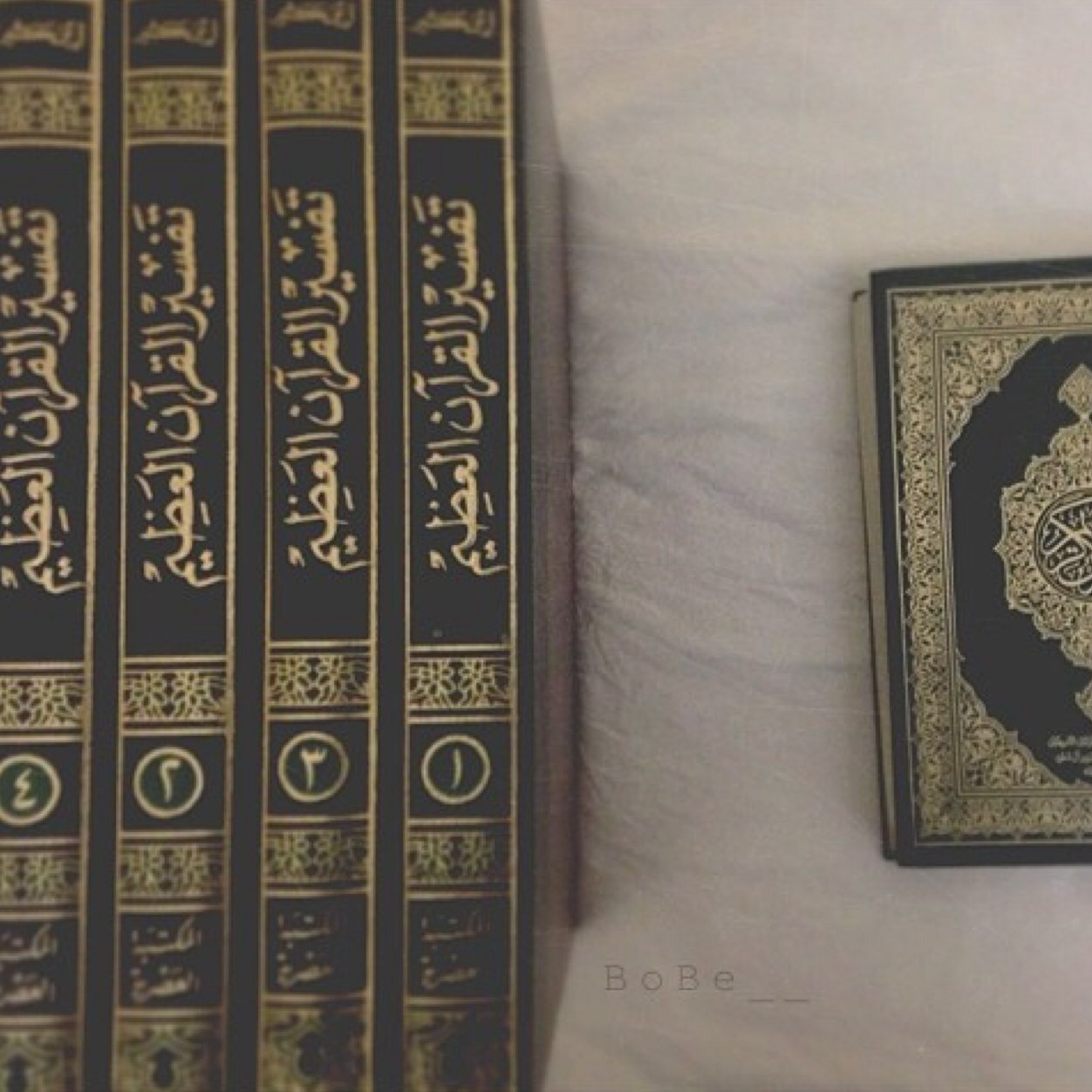 هذا الحساب يعتني بنقل أقوال السلف في ءايات القرآن لفهم القرآن من كلام أهل التفسير الموثوقون وأيضاً نشر فضائل القرآن ..
