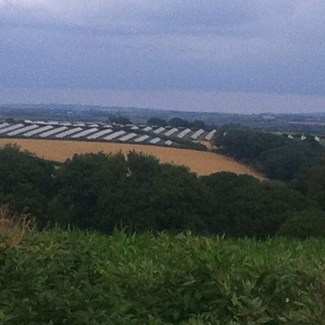 Do not stress about the things you cannot change. Chelsea fan 💙cricket obsessive. Anti wind turbine and solar covering beautiful countryside
