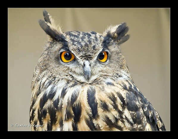 josepq23's profile picture. 