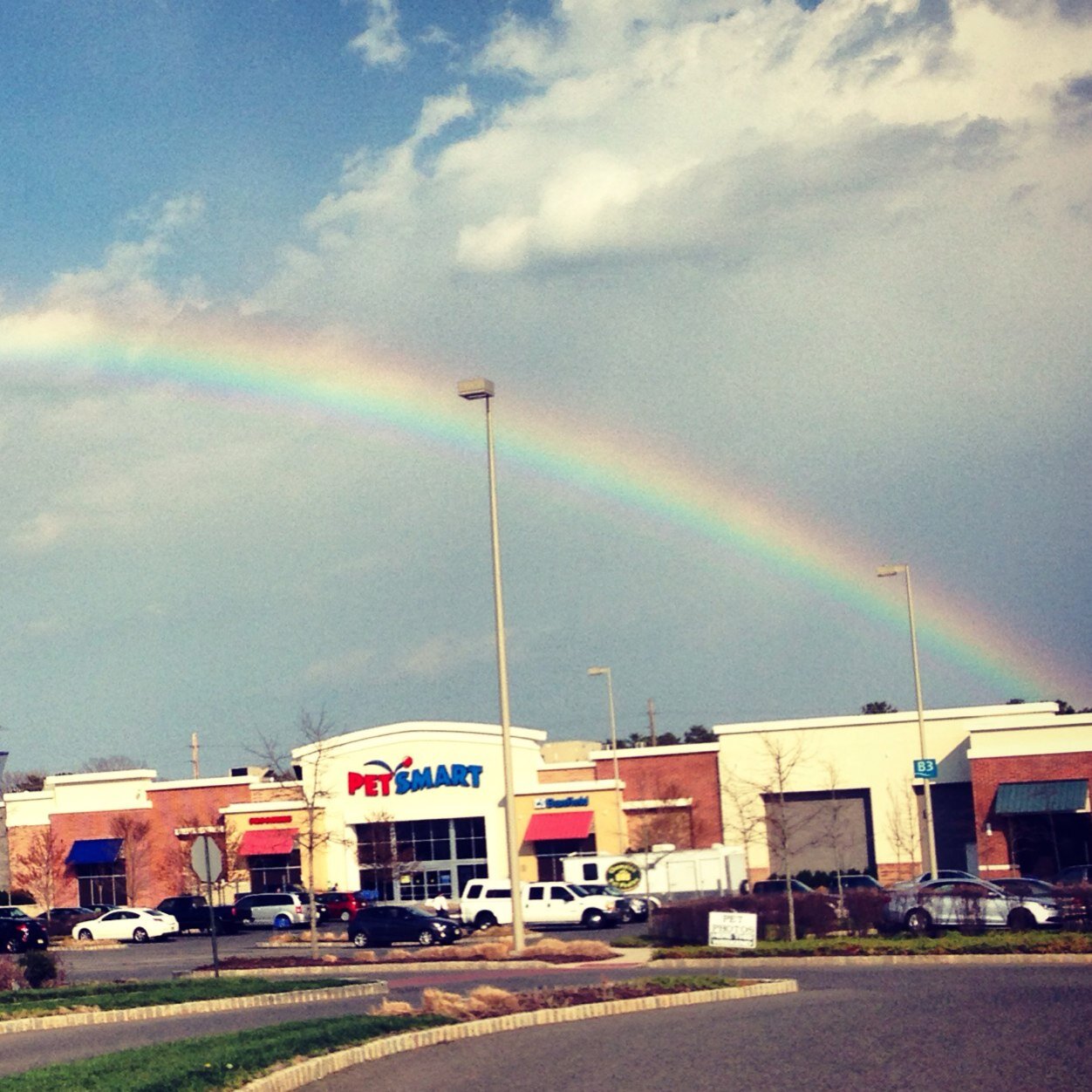 petsmart1945's profile picture. 