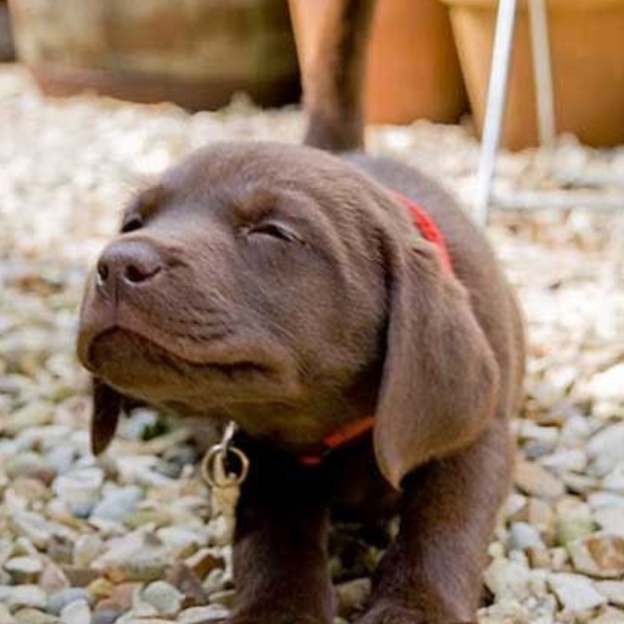 Adorable animal pictures!