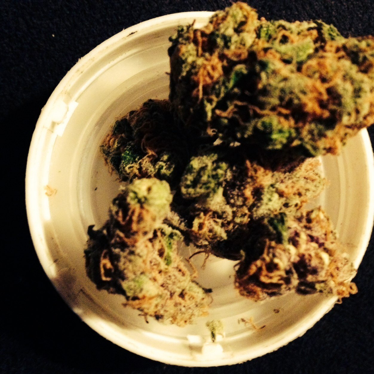 Chan_dude's profile picture. 