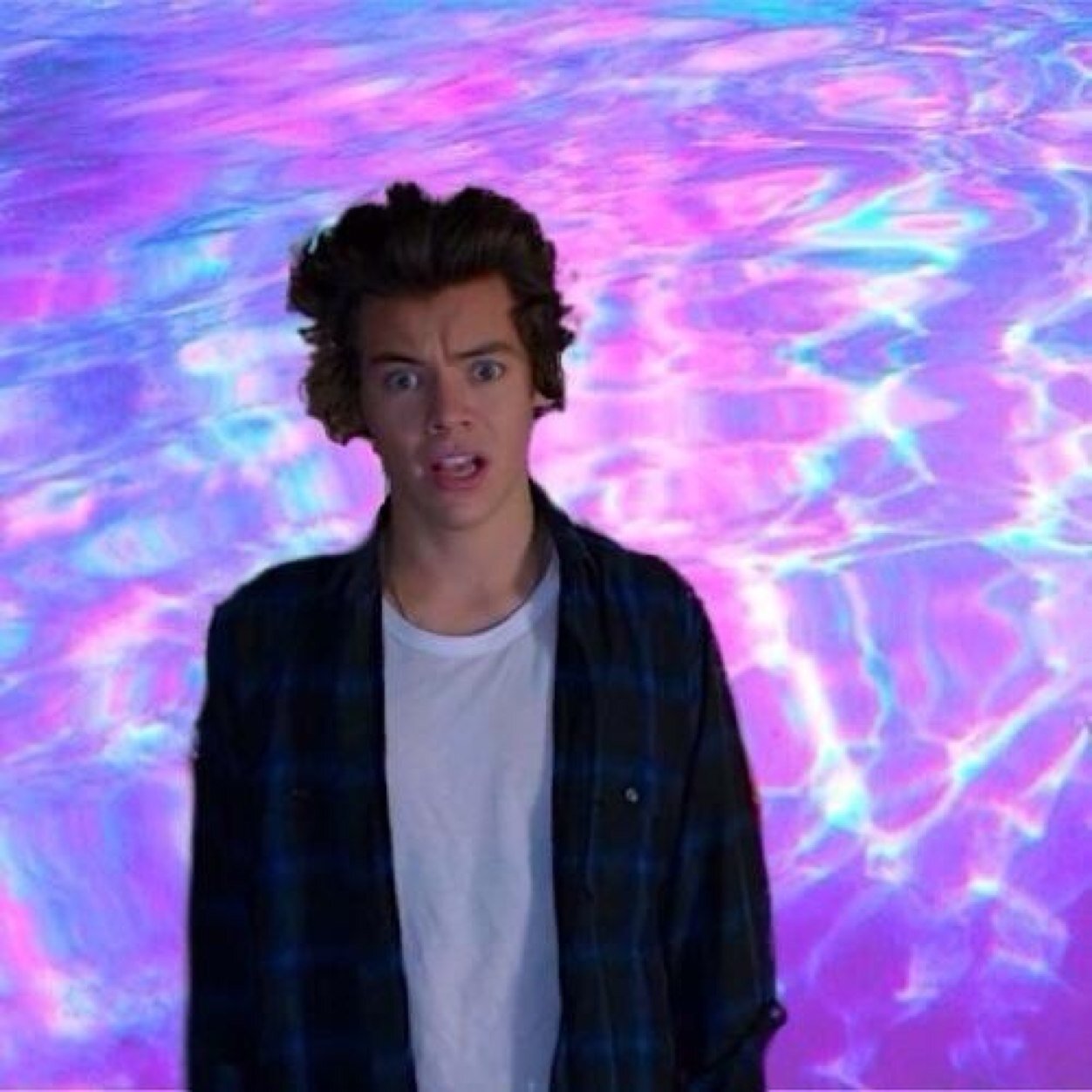 FREE FOLLOW COS ILY NOW FOLLOW @harryshotdog_ FOR ANOTHER FOLLOW