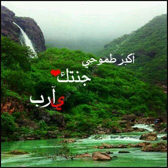 #اللهم افتح لموتانا وموتى المسلمين نافذة من نسائم فردوسك لا تغلق أبداً #يارب