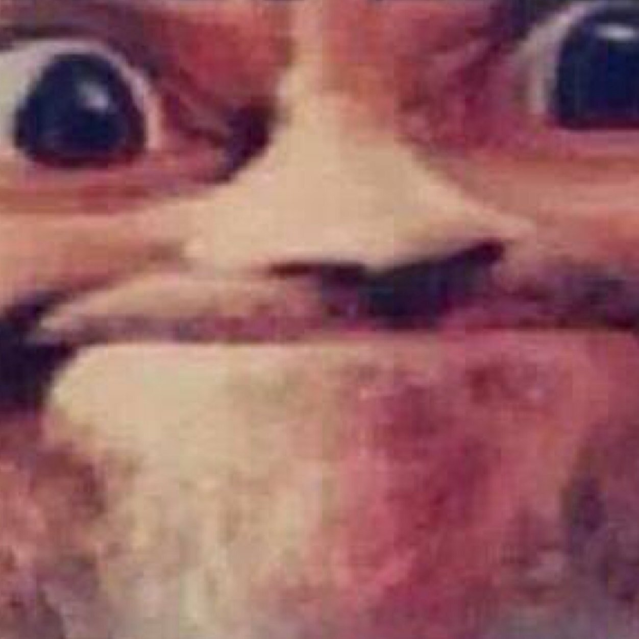 CRedhill's profile picture. Love rugby love all animals proudly south african, proud supporter of Pen15 club :D