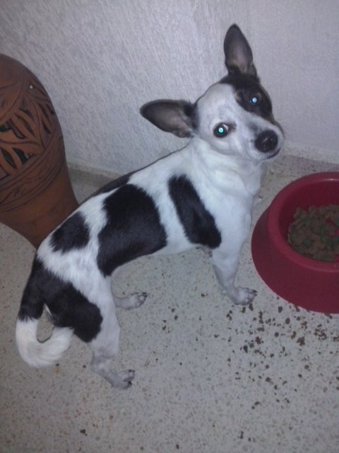 esperando cambiossss!!!!