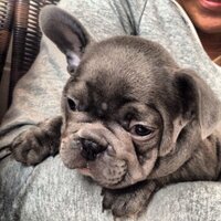 Baxter (@nickybaxter_) 's Twitter Profile