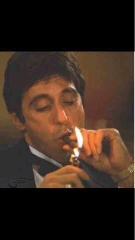 ‏‏محد ضيع لكويت غير المتعوس وخايب الرجا