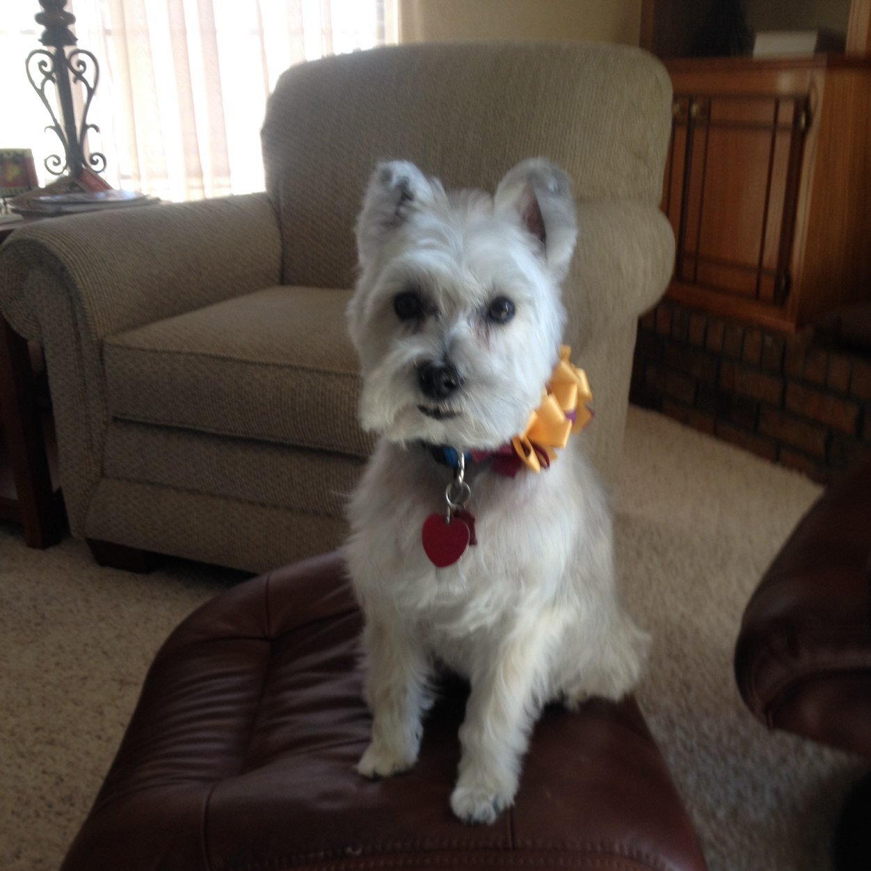 mholt1206's profile picture. 