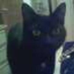 pinkkisses16's profile picture. Summer lover! Wine drinker! Suits, Walking Dead, Scandal, Blacklist, and Big Bang lover! Cat lover (can you tell?)! Aspiring author with a novel in the works!