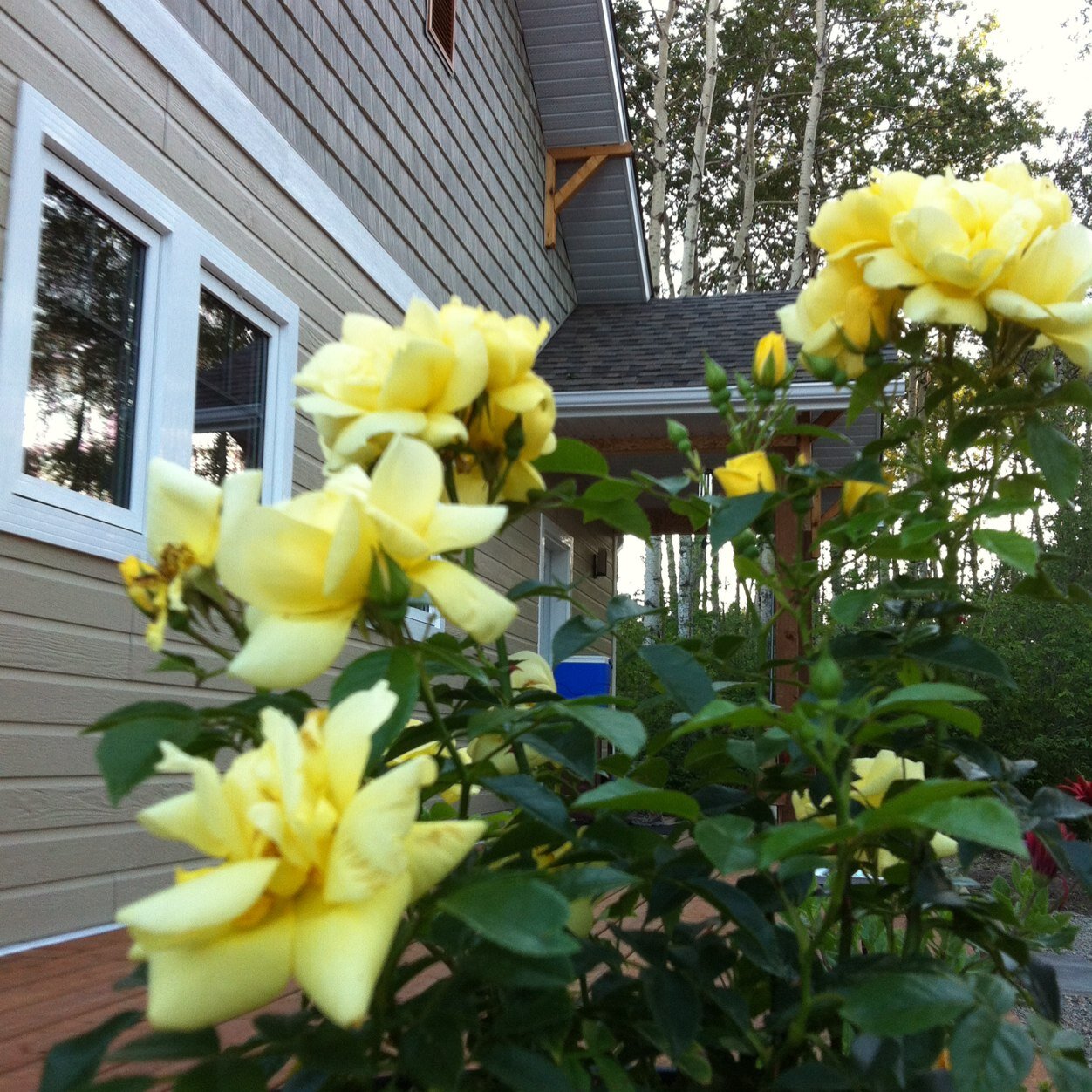 slknapp60's profile picture. 