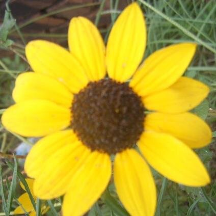 Espresso_AU's profile picture. If I'm not learning, I'm not living, Lover of languages. (Stay humble) Lady bass player, chef, watching grapes grow :) Born/raised in Alabama but global citizen