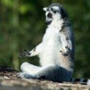 b430066b131a44b's profile picture. 