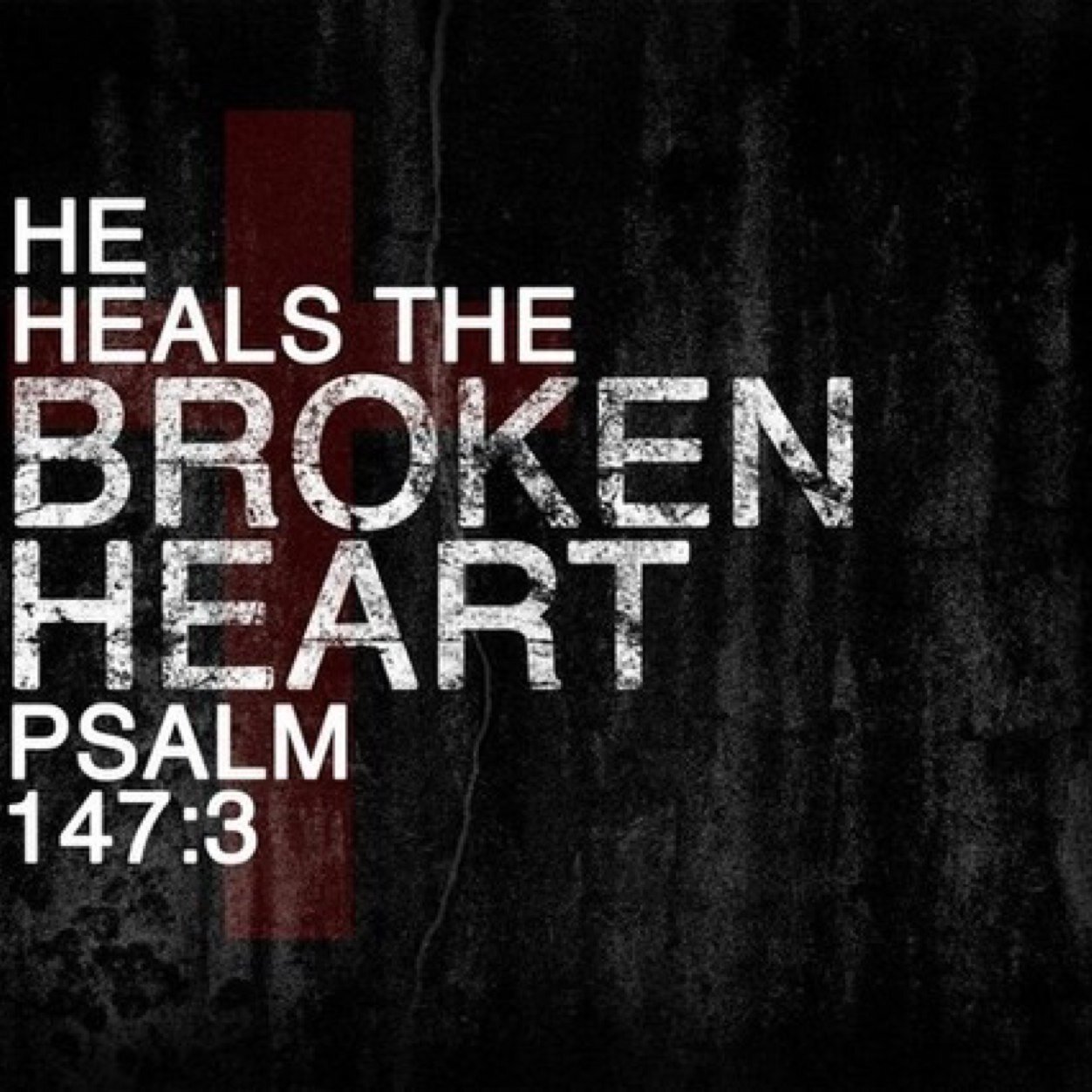 I love Jesus. And women who love Jesus. Here to spread God's neverending love. Follow Him first, then follow me.