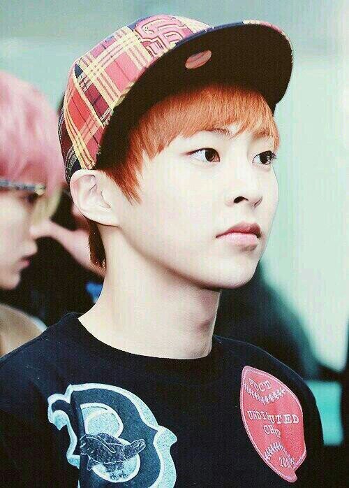 新垢 ☞ @EXO__M___Xiu
