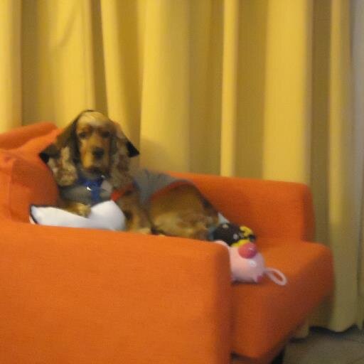 GreevenNel's profile picture. 