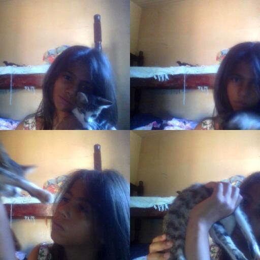 sou gata