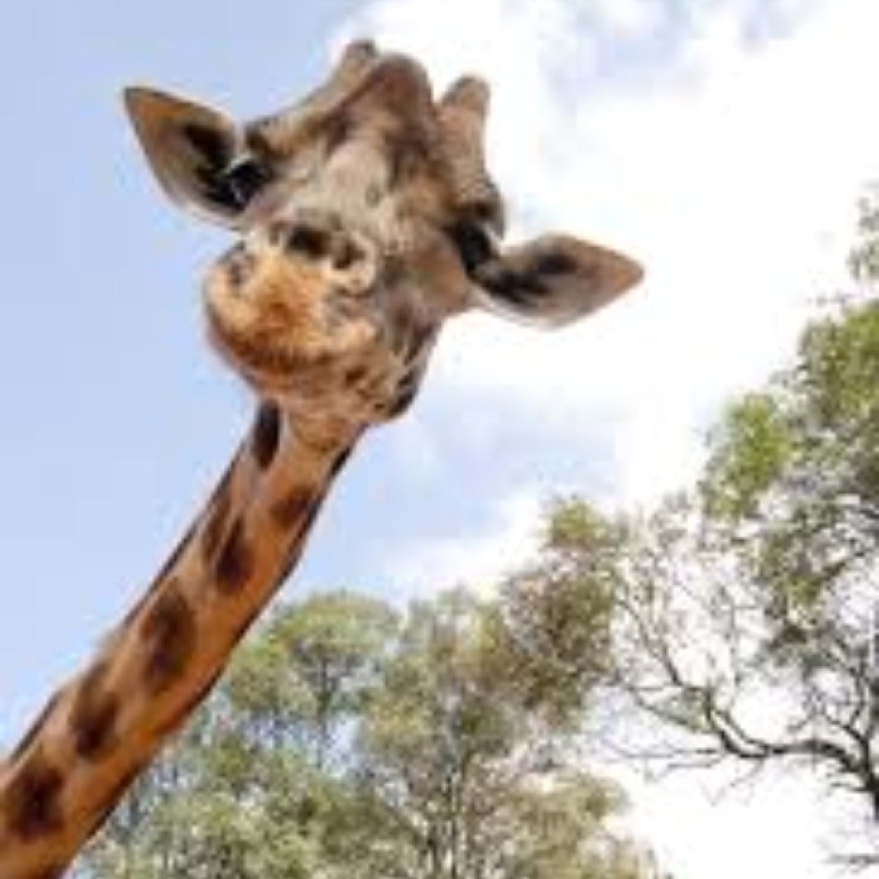 Jeannie69C's profile picture. 