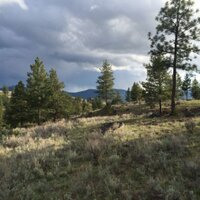 Keep Washington Wild (@washingtonwild) 's Twitter Profile