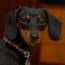 Jonathan Olson - @combinatoric - Twitter