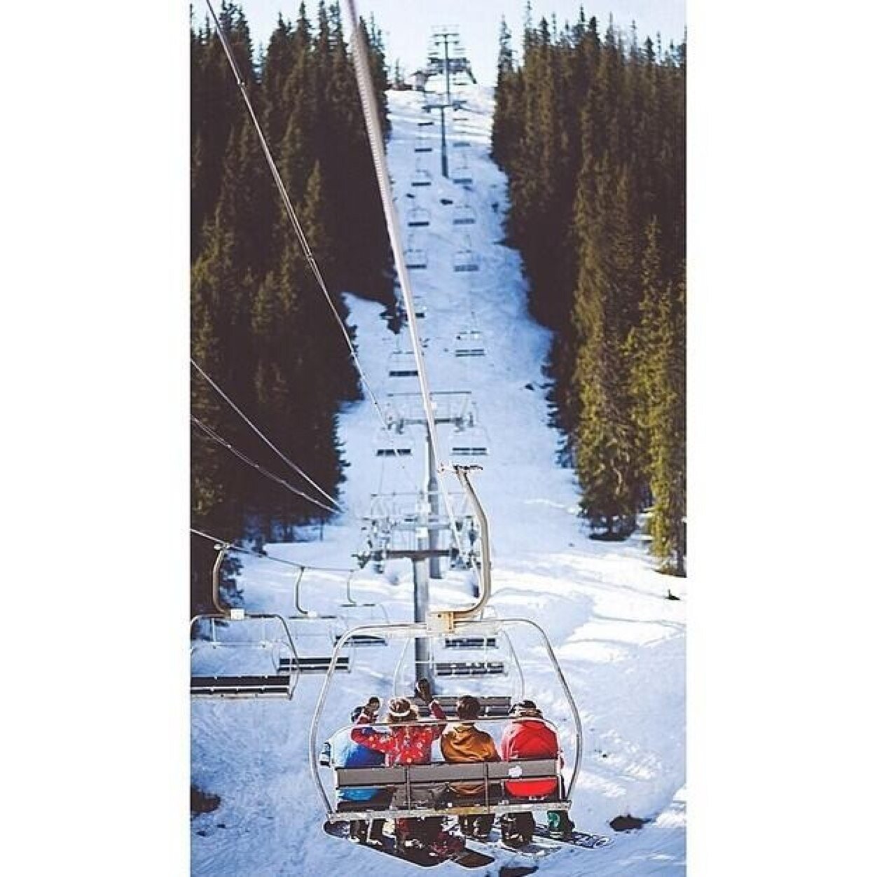 shredtilimdead's profile picture. bitch less ride more.