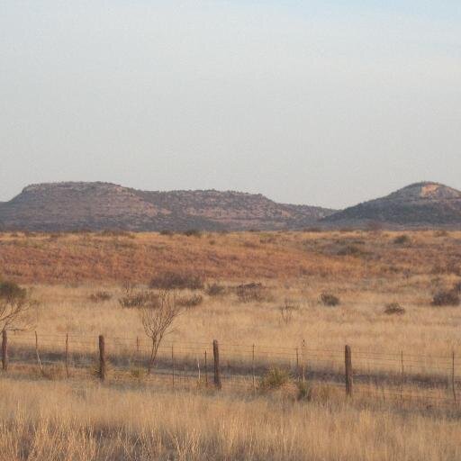 SanAngeloEvents's profile picture. Look no more for events in San Angelo!