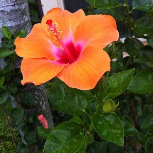 jjgamster's profile picture. coach, facilitator, champion for a just and equitable world