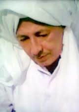 habib lutvi.