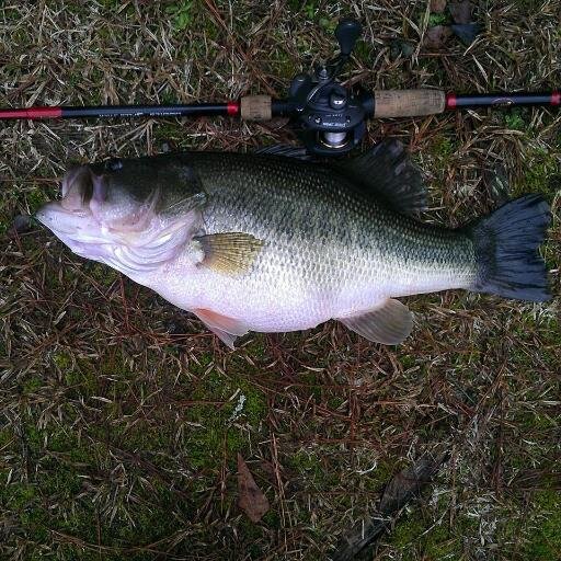 I am a simple man that loves his family. I truly enjoying fishing for bass and keeping my aquariums.