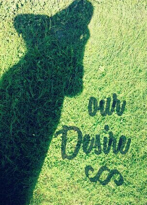 VQisthy's profile picture. God Plan Is Usually Additional BEAUTIFUL Than Our Desire