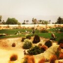 Gregory Fusco - @gfusco - Twitter