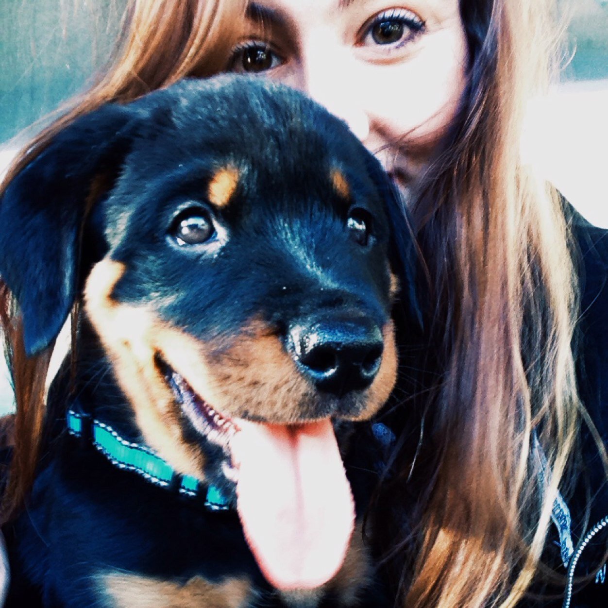 AbbieMcDowell1's profile picture. 